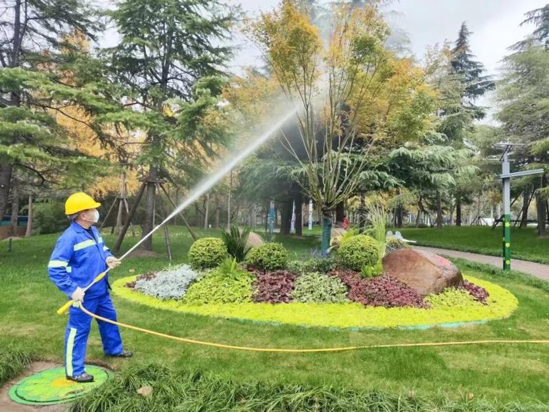 綠化養(yǎng)護16