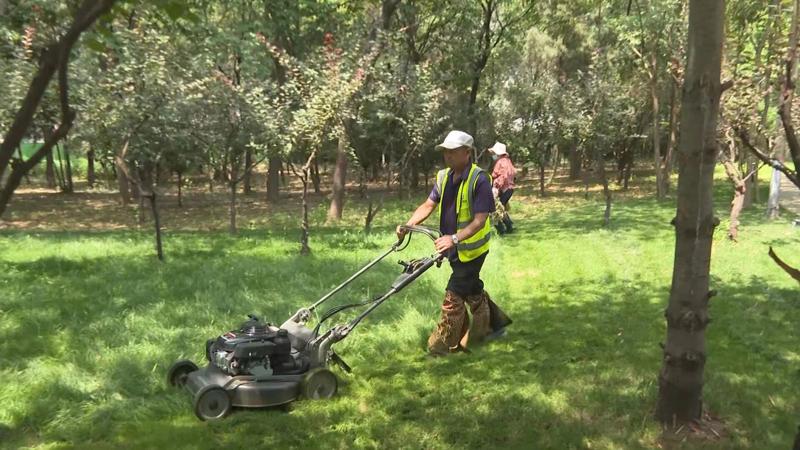 綠化養(yǎng)護9